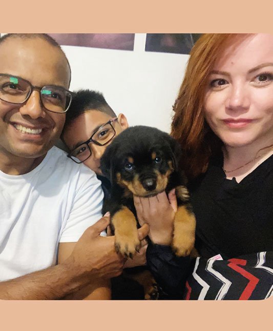 Venda de Filhotes de Cachorro em São Paulo - Filhotes de Qualidade