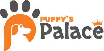 Logo Palace Filhotes - Venda de Filhotes de Cachorro em São Paulo - Filhotes de Qualidade
