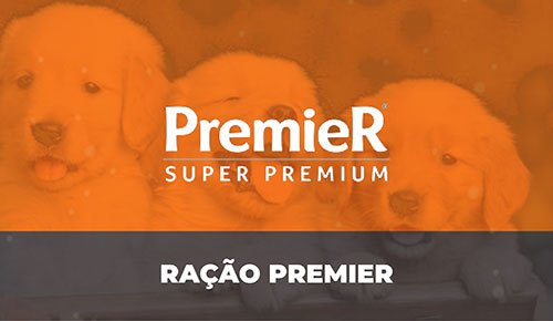 Venda de Filhotes de Cachorro em São Paulo - Filhotes de Qualidade