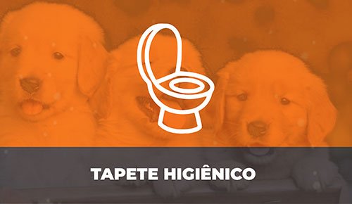 Venda de Filhotes de Cachorro em São Paulo - Filhotes de Qualidade