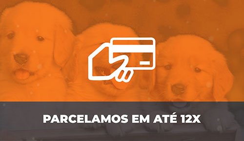 Venda de Filhotes de Cachorro em São Paulo - Filhotes de Qualidade