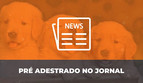 Venda de Filhotes de Cachorro em São Paulo - Filhotes de Qualidade