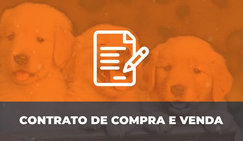 Venda de Filhotes de Cachorro em São Paulo - Filhotes de Qualidade