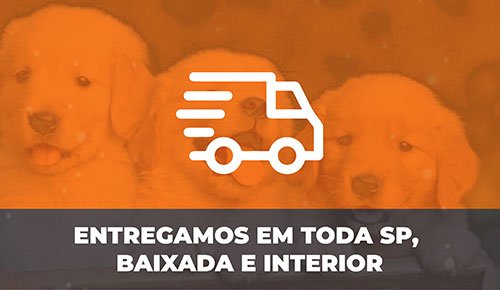 Venda de Filhotes de Cachorro em São Paulo - Filhotes de Qualidade